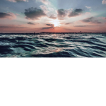 For sunshine
