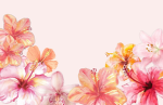 WELCOME to peachy group