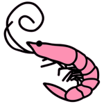 Saltwater Shrimps