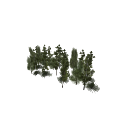 arvores
