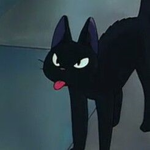 Liuli gatinho