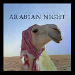 -Arabian Night -