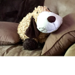 Mellowflea9523