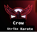 Crow strike karate academy mixed arts