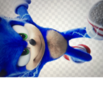 Sonic fan club/gang