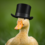 Smiling critters Roblox!!!