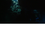 The Deepest Sea
