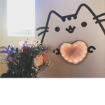 Pusheen Meme Team