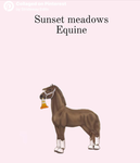 Sunset meadows riding