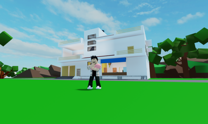 INDIAN RP🏡 screenshot 1