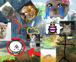 P'tit chat !