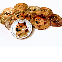 doge world