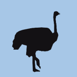 Ostrich Park Studios