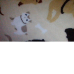 Cat_lover89263