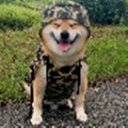 Doge Secret Base 32