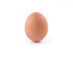 The Kingdom of Eggs.