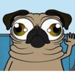 Pug’s assemble