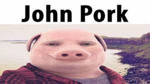John Pork City 