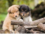 All the besties!