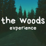 The Woods - Expirience