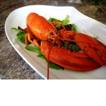 Kill The GOOFY KILLERS In Area 51