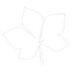 New Life RolePlay II ER:LC II