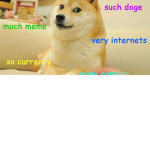 THE DOGE DOMINATORS