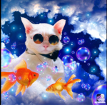 Meow forevermore