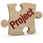 The Project™