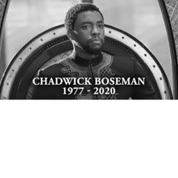 R.I.P black panther... 😭😭😭 icon
