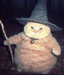 Drakecats1234