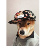 The Doge Army Of Doge Land