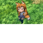 Fox_landia Group
