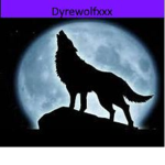 D yre Wolf Fan Group