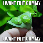 fuit gimmy incopration