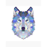 Dog SpaceGroup