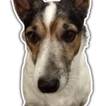 rad's cool group Group Thumbnail