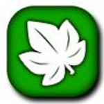 The Great Vine