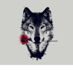 Wolf Camp