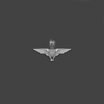 |BA| PARAS Veterans Association
