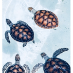Turtle girlie