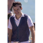 Harry styles fan