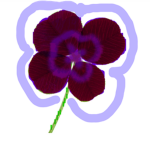 Sapphire Clover