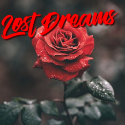 🌹 Lost Dreams