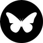 Butterfly Style!