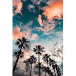 Sunset.liv