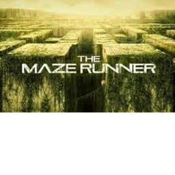 Maze Runner icon