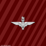 [GJG619's] Parachute Regiment