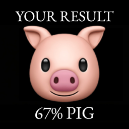Pig Test 🐷