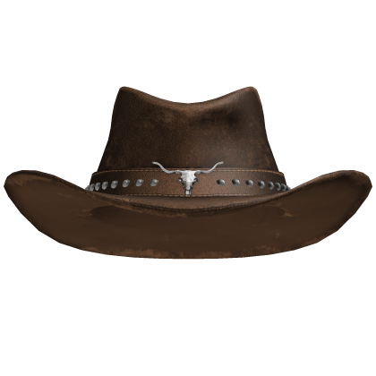 Brown Cowboy hat